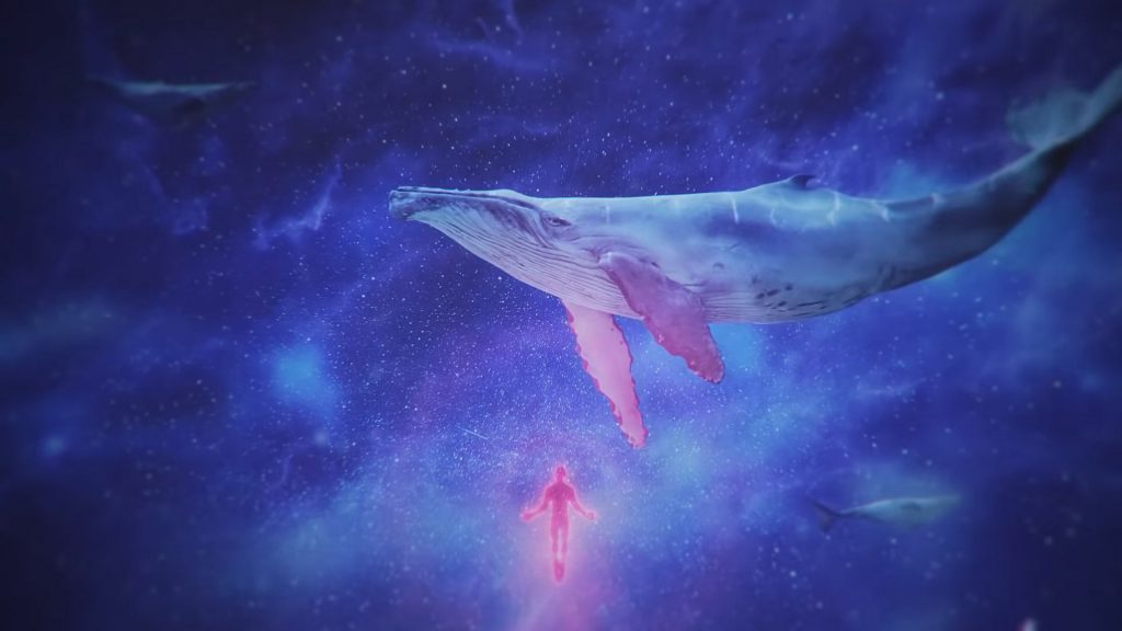 Gatos, astronautas e sereias, até onde vai o mundo dos sonhos?
