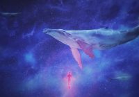 French Ships - Your Love is My Spaceship